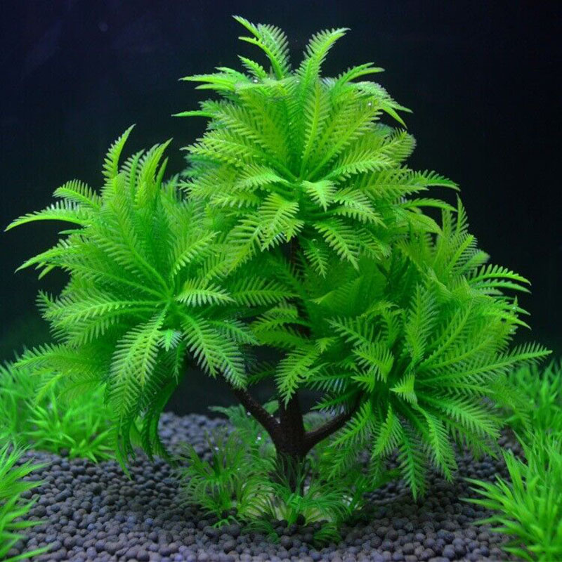 Aquarium Decorative Simulation - огляд і ціна Aquarium Plant Guide