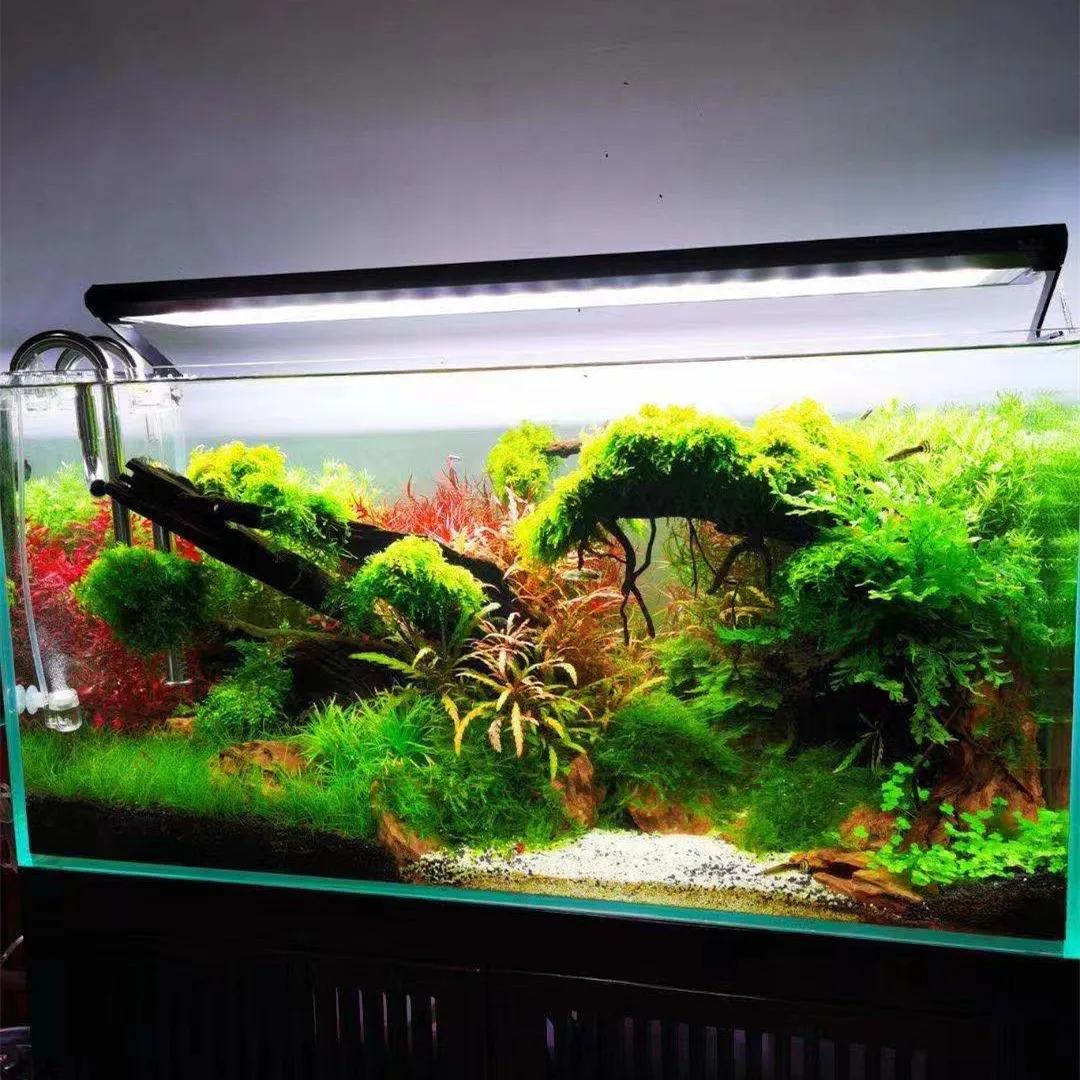 WEEK AQUA P Series Aquarium Fu - огляд і ціна Aquarium Plant On Top