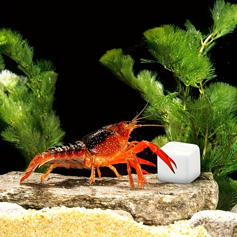 6 Pcs Fish Tank Calcium Block  - огляд і ціна Aquarium Plant Live