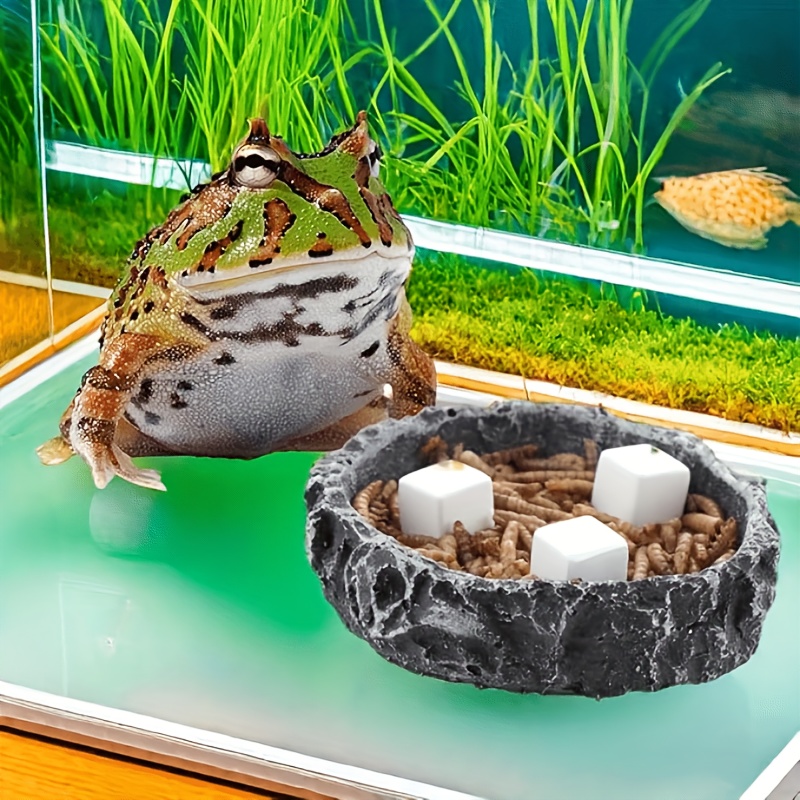 6 Pcs Fish Tank Calcium Block  - огляд і ціна Aquarium Plant Live