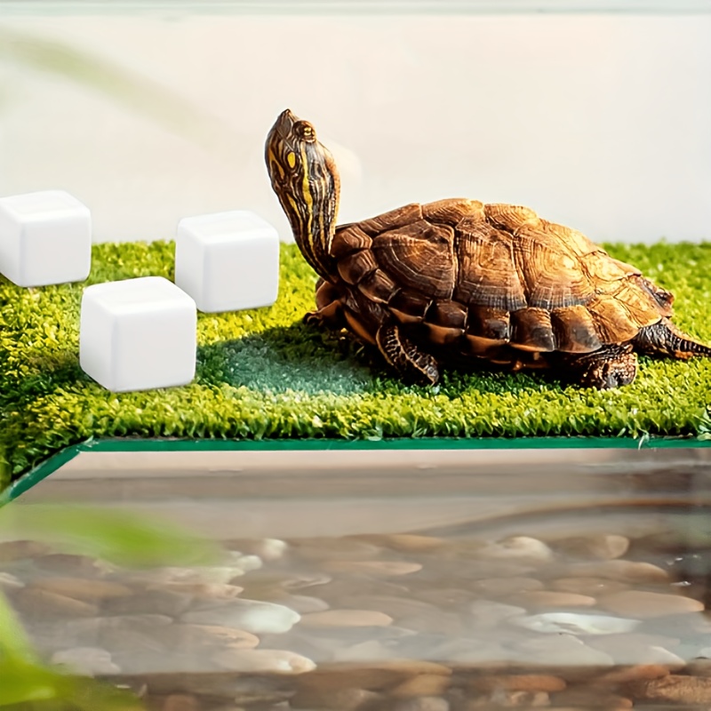 6 Pcs Fish Tank Calcium Block  - огляд і ціна Aquarium Plant Live